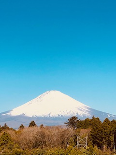 NEW508と富士山！！