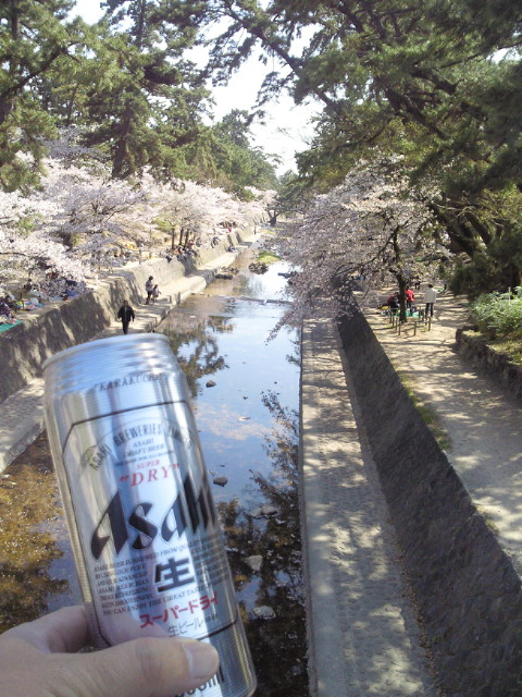 桜とビールと私