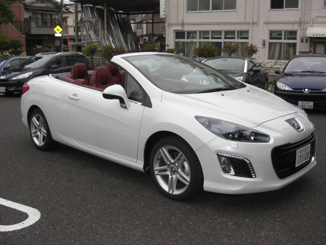 試乗車入替のご案内！！