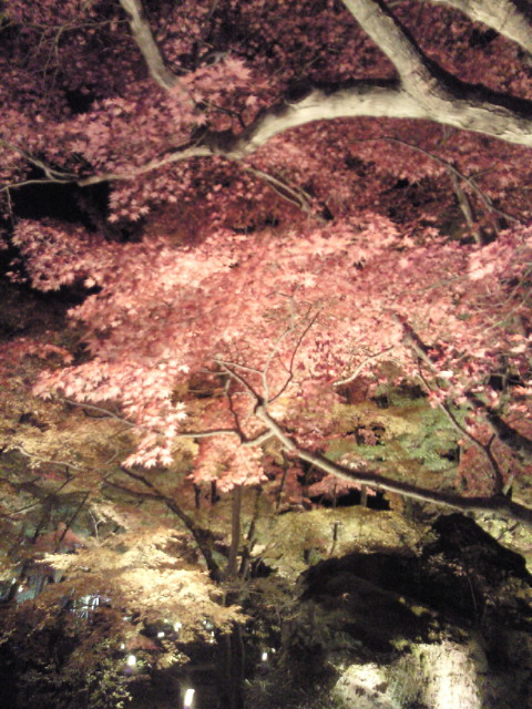 花より団子。