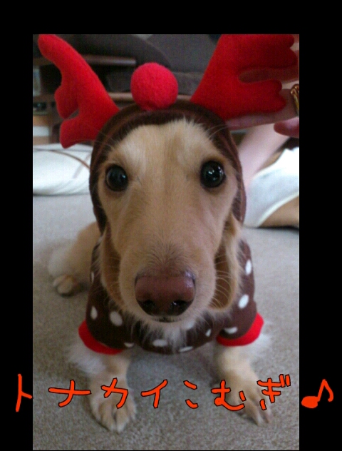 今年もあと少し・・