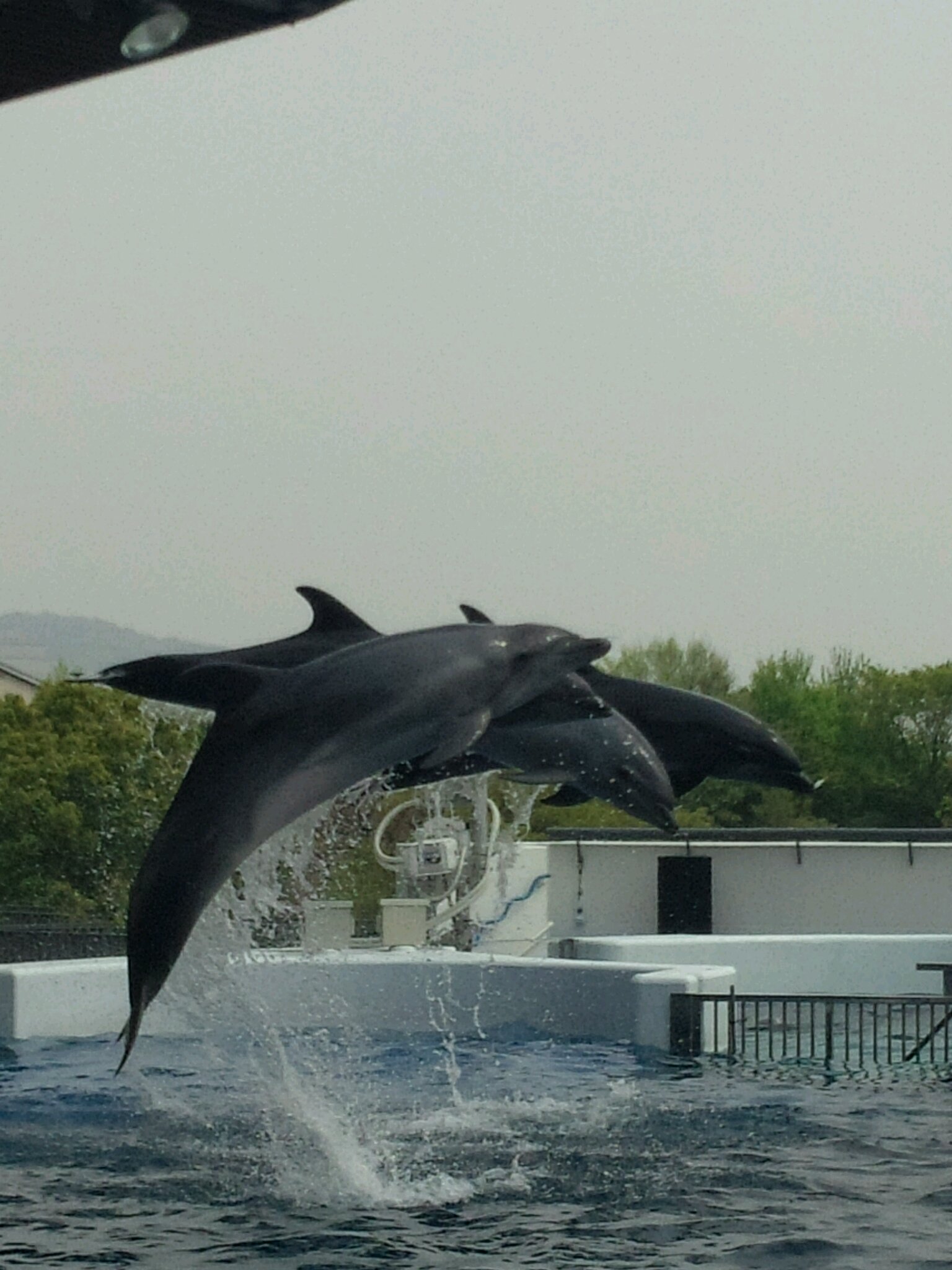 須田の休日。