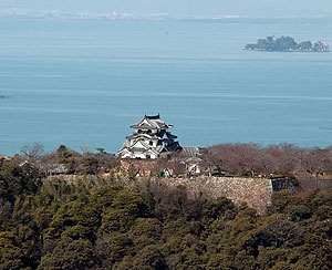 彦根城で、出逢ったぁ～