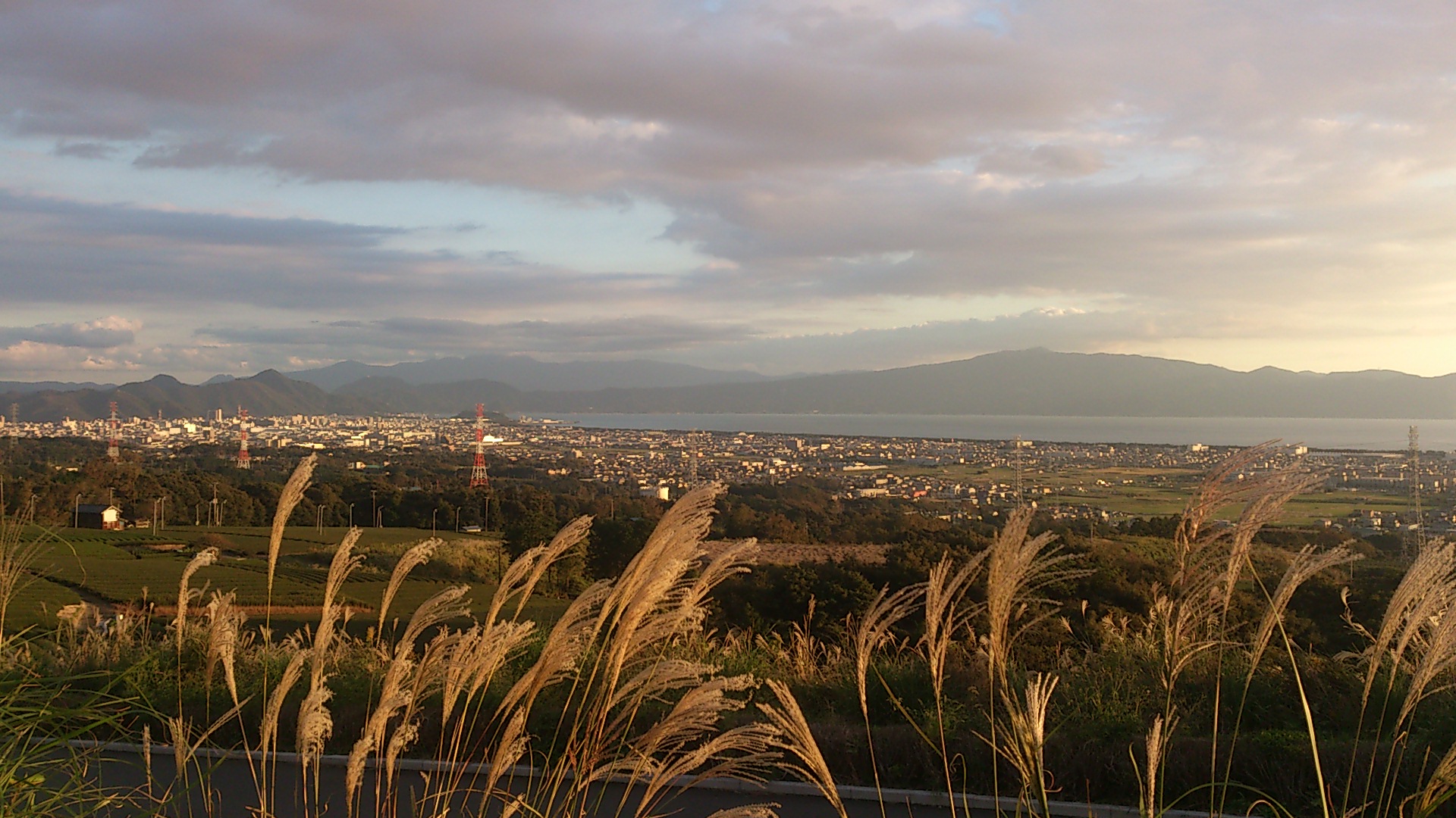 遠方でも御安心ください。