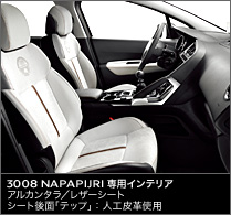 3008 NAPAPIJRI デビュー。