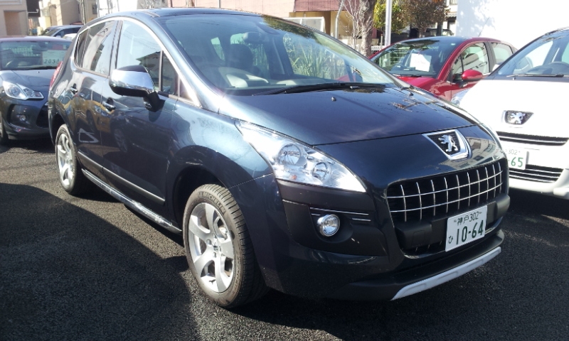 新しい仲間が！