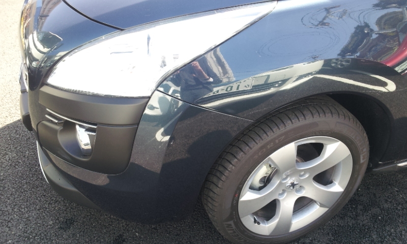 新しい仲間が！