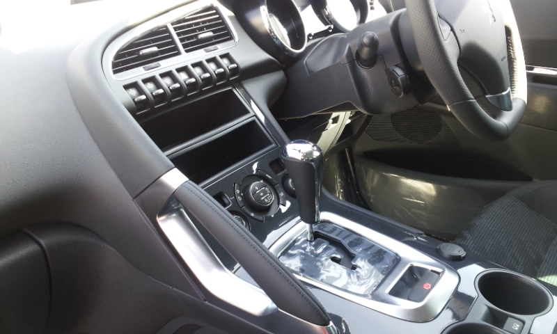 新しい仲間が！