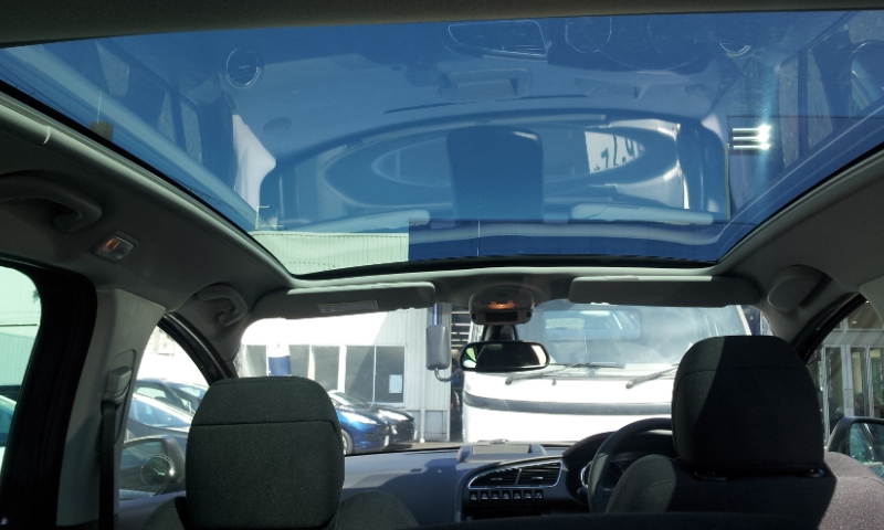 新しい仲間が！