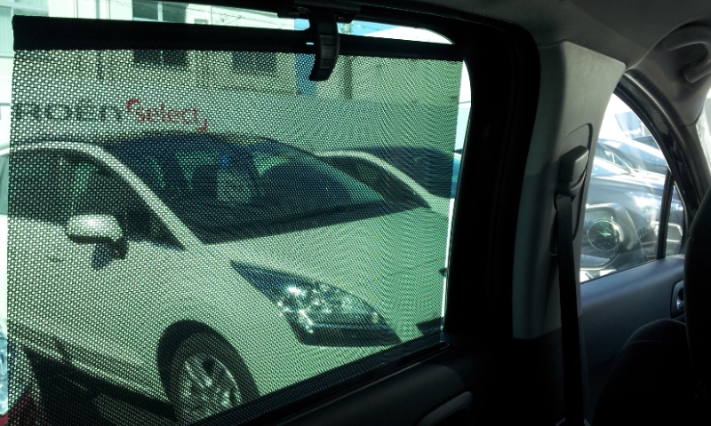 新しい仲間が！