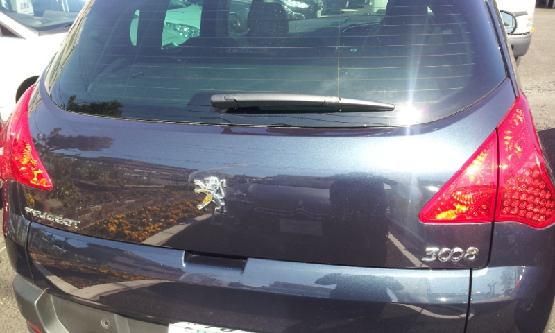 新しい仲間が！