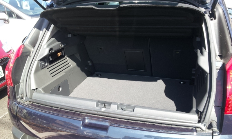 新しい仲間が！