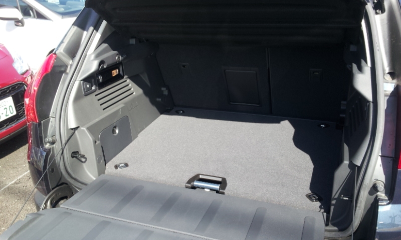 新しい仲間が！