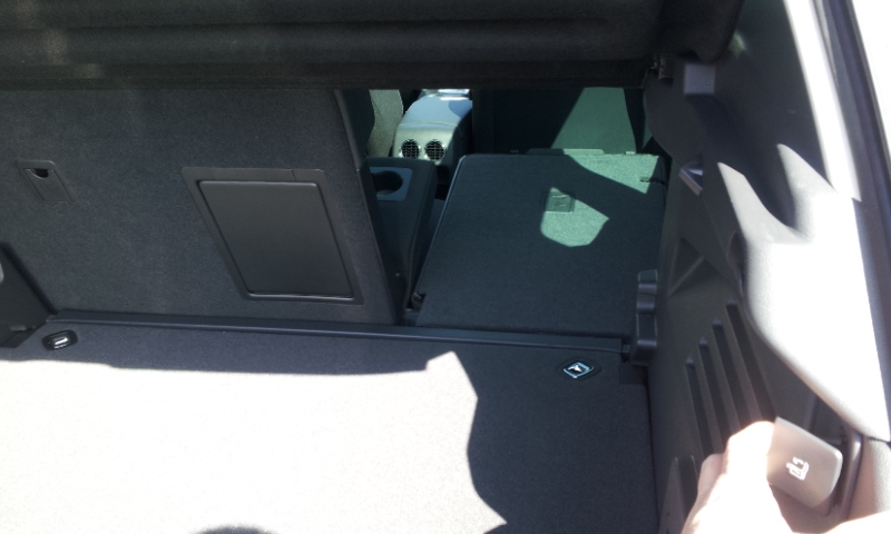 新しい仲間が！