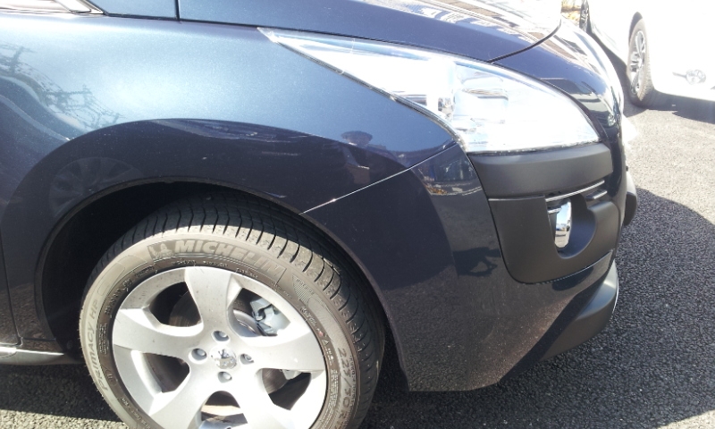 新しい仲間が！