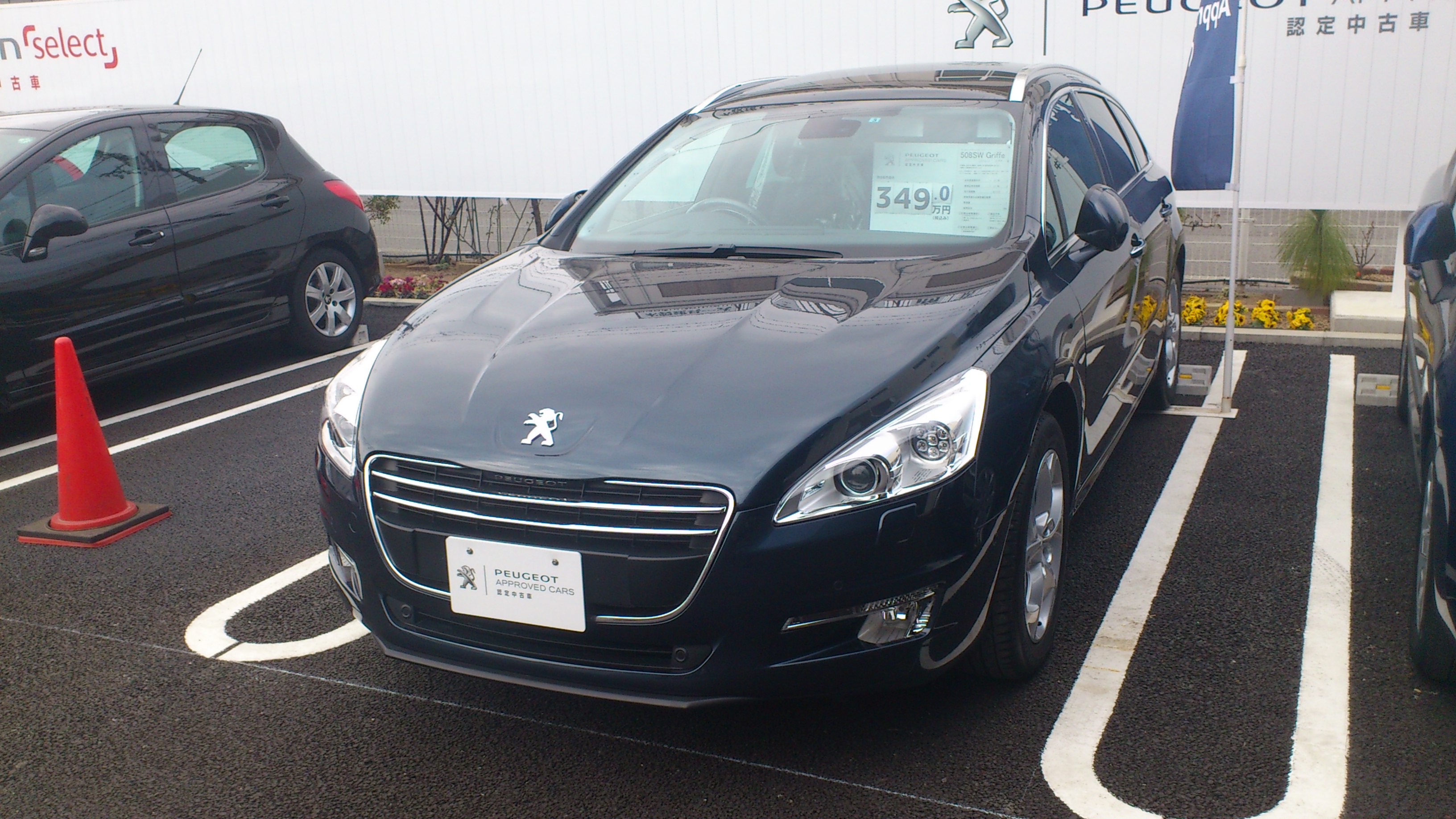 入荷しました！