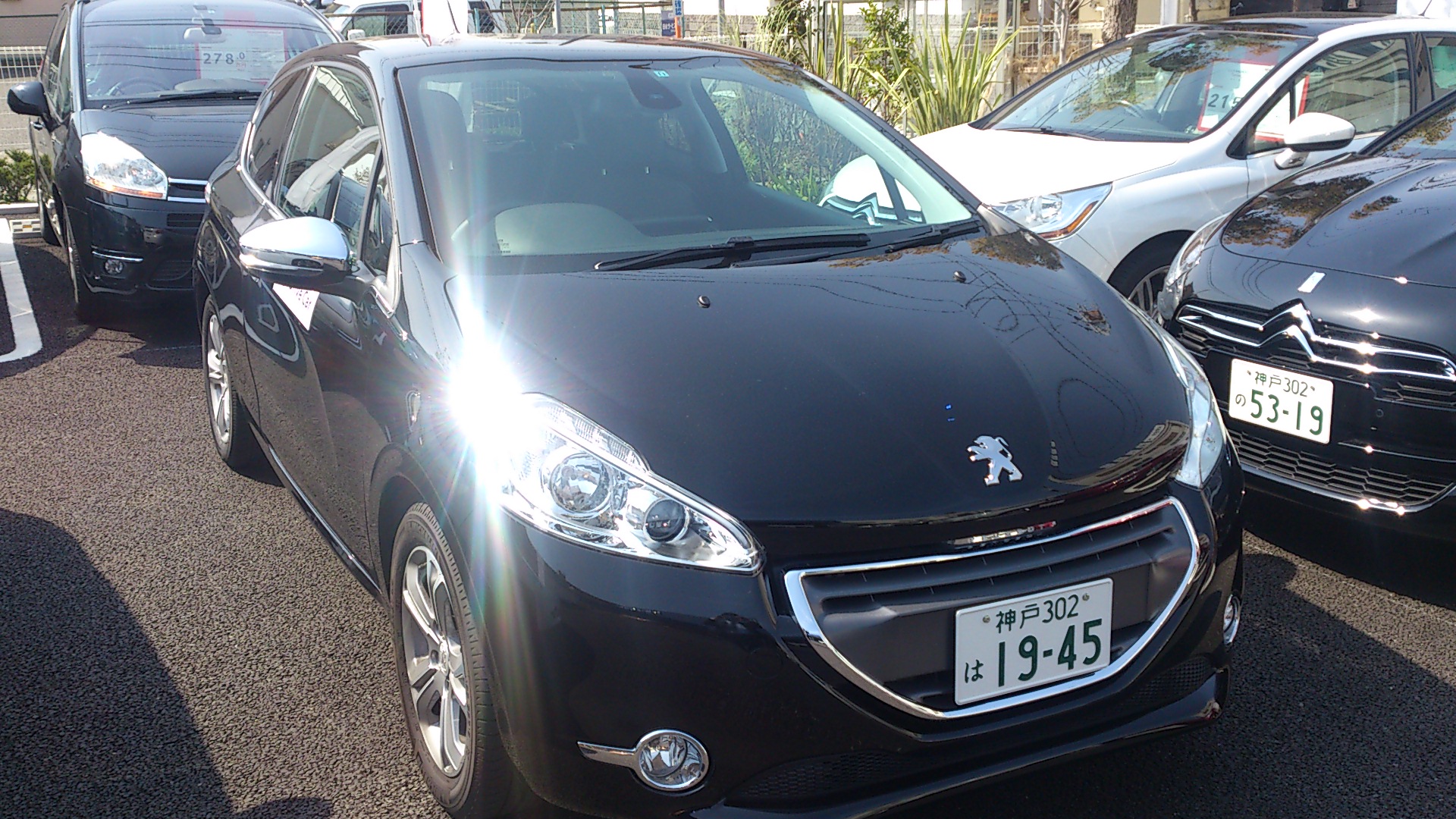208 Allure（1,200cc+5MT）試乗会開催中。