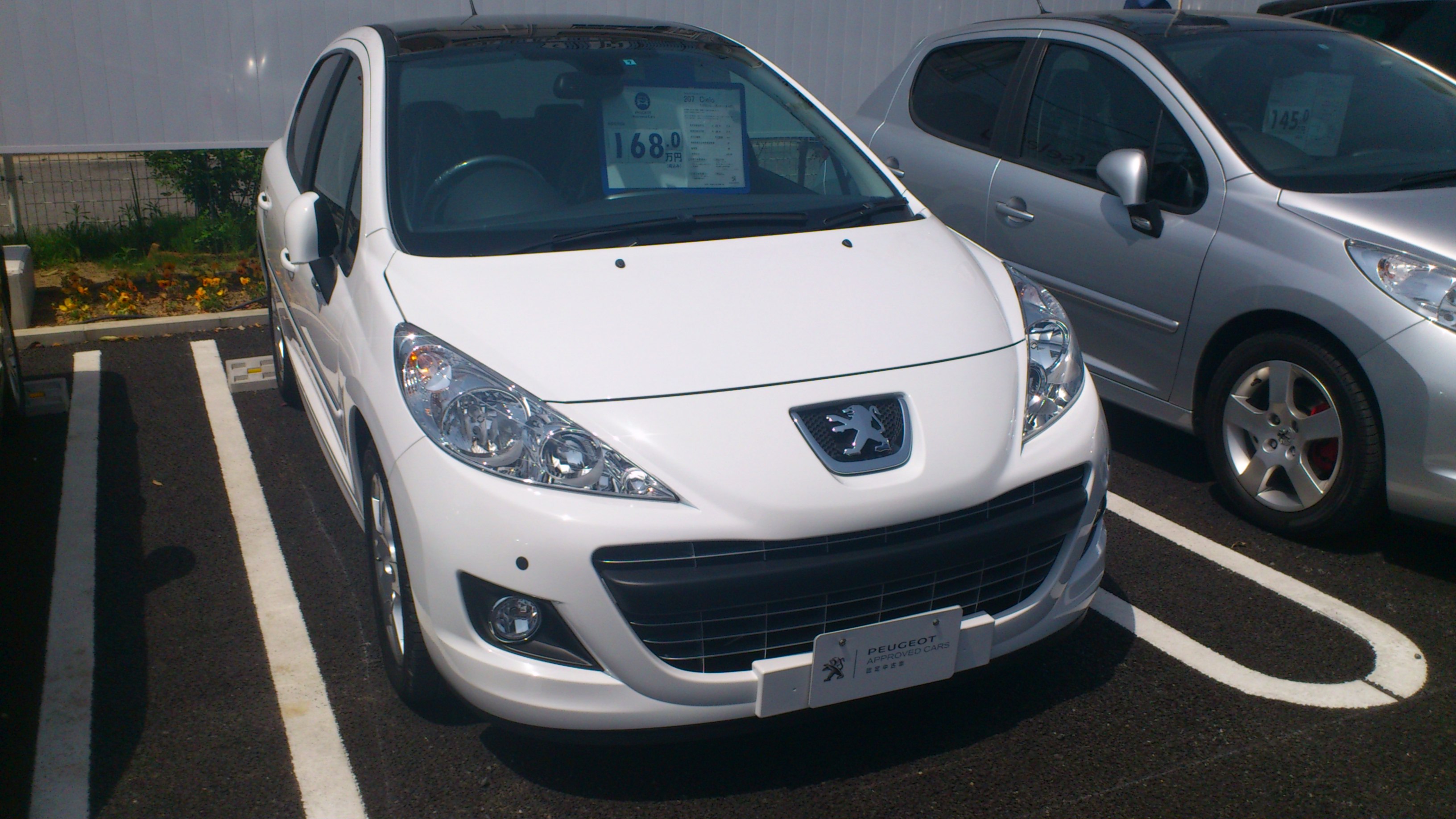 認定中古車２台入荷！！