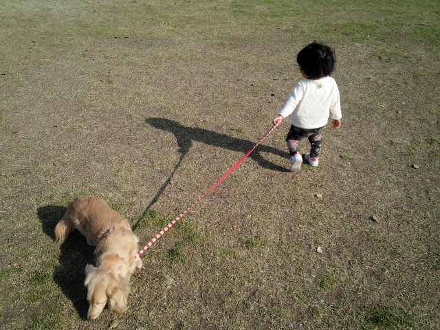公園☆