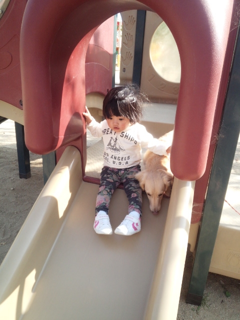 公園☆