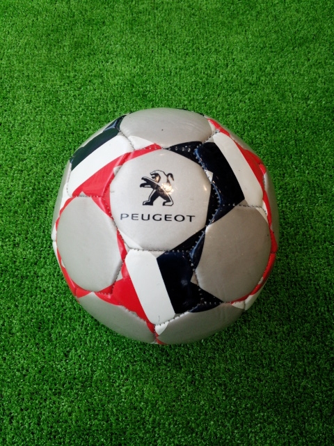 ☆FIFA Nishinomiya　CUP☆