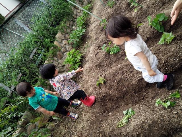 ☆月１回のお楽しみ☆