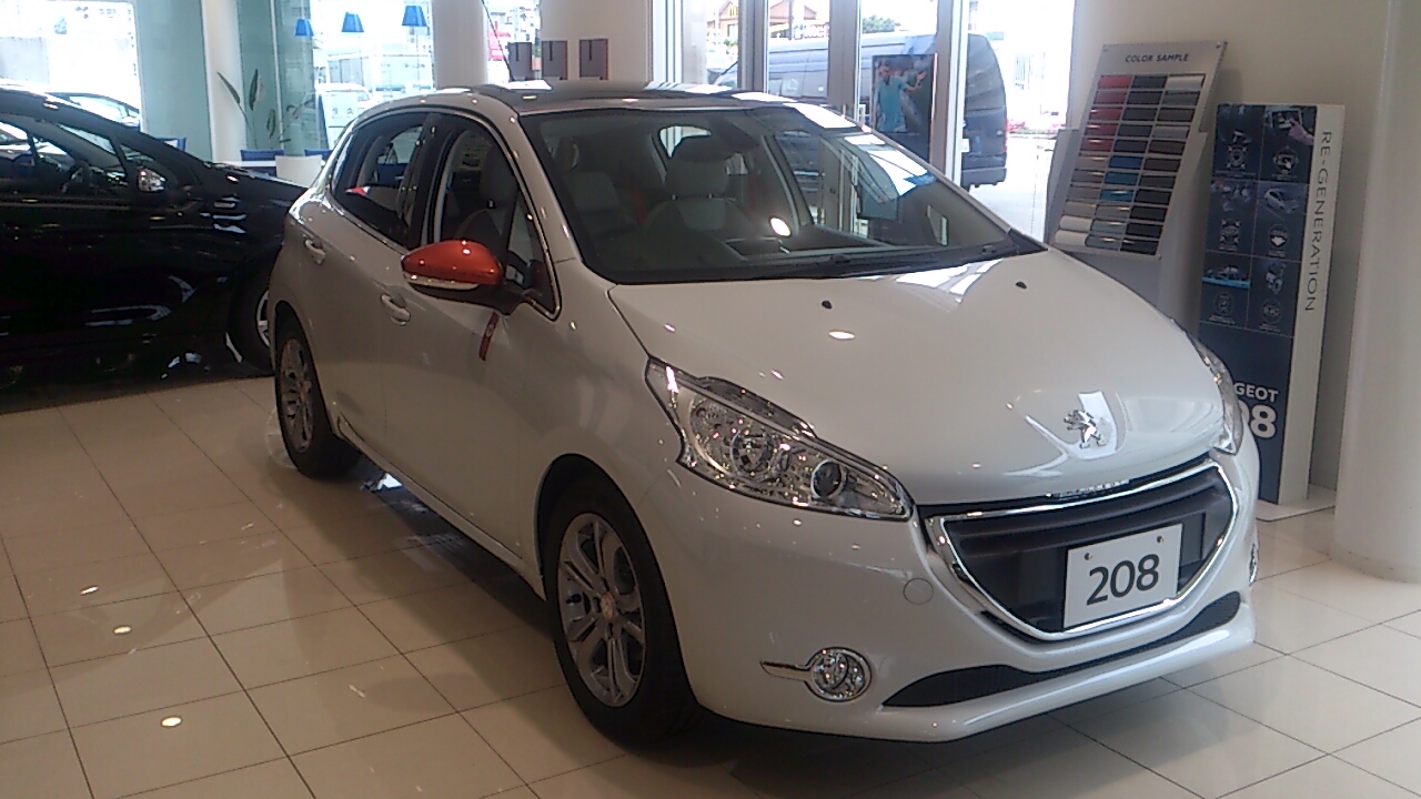 208 限定車 ROLAND GARROS