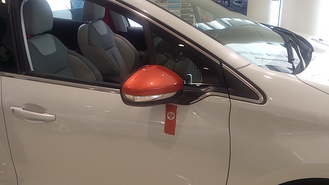 208 限定車 ROLAND GARROS