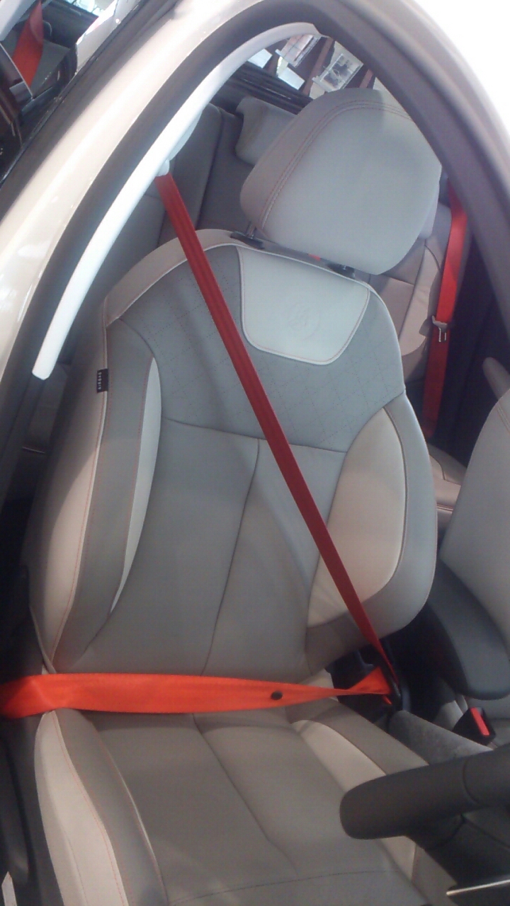 208 限定車 ROLAND GARROS
