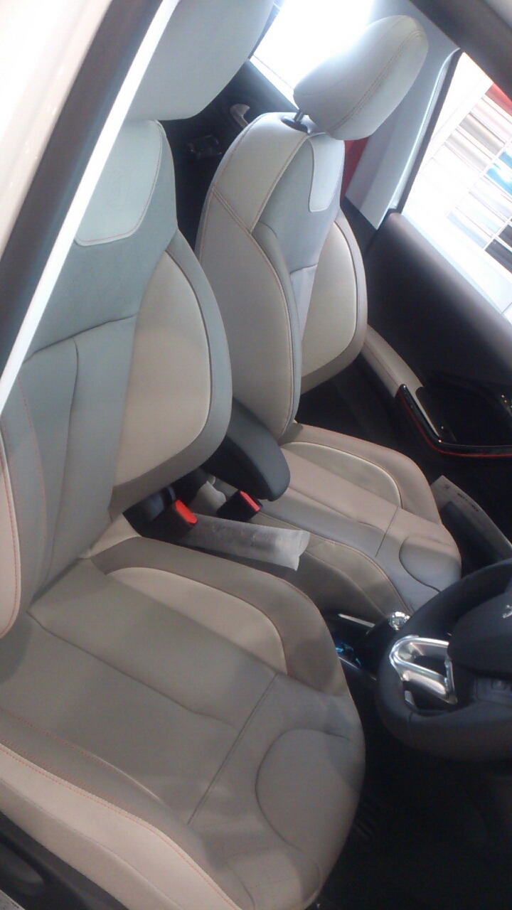 208 限定車 ROLAND GARROS