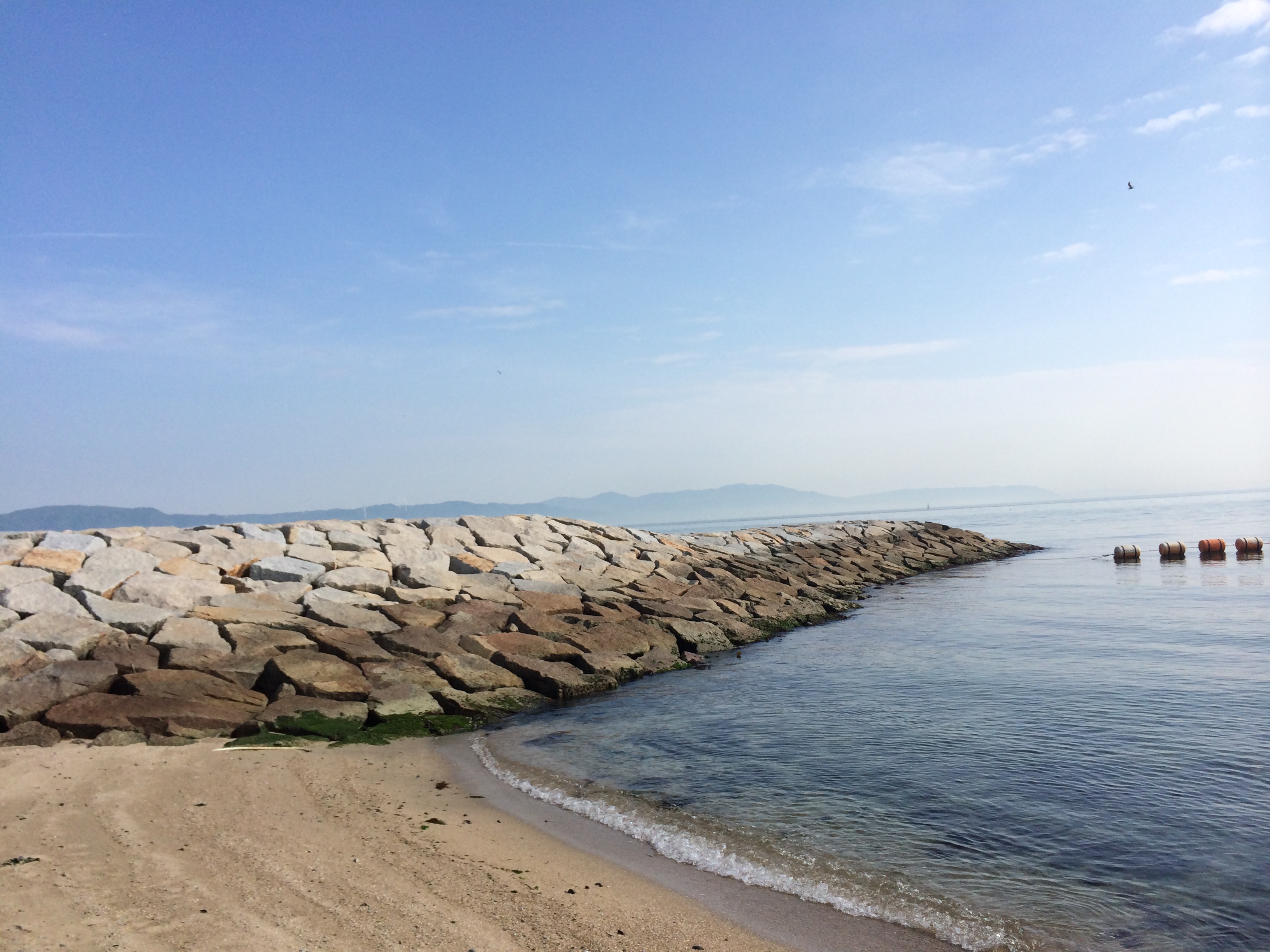夏は海っ！