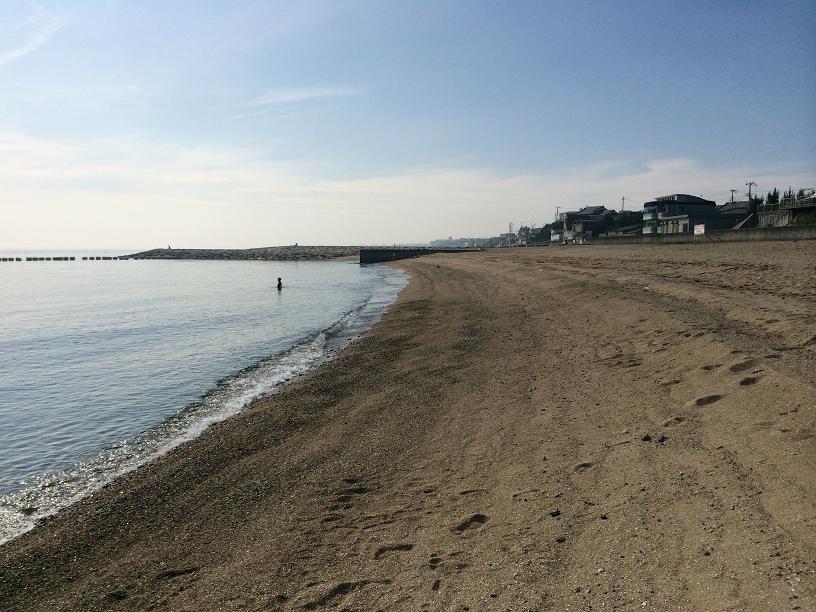 夏は海っ！