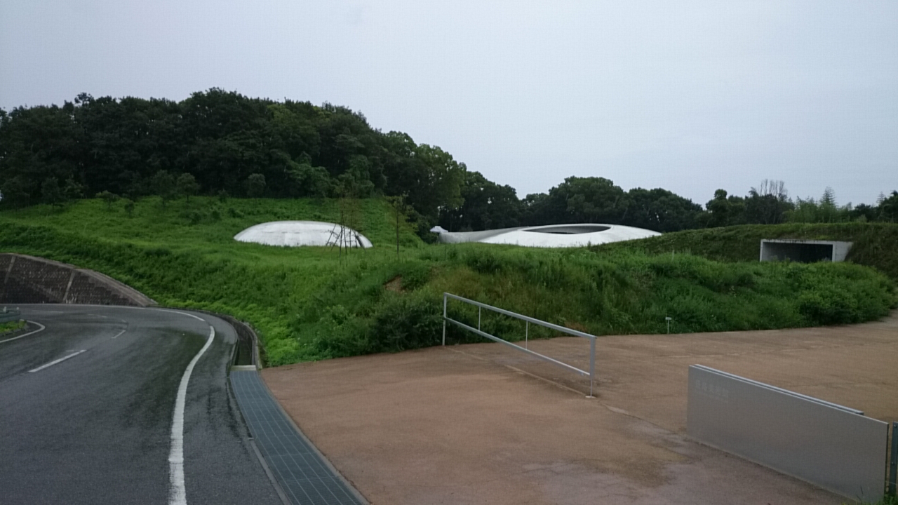 島旅。