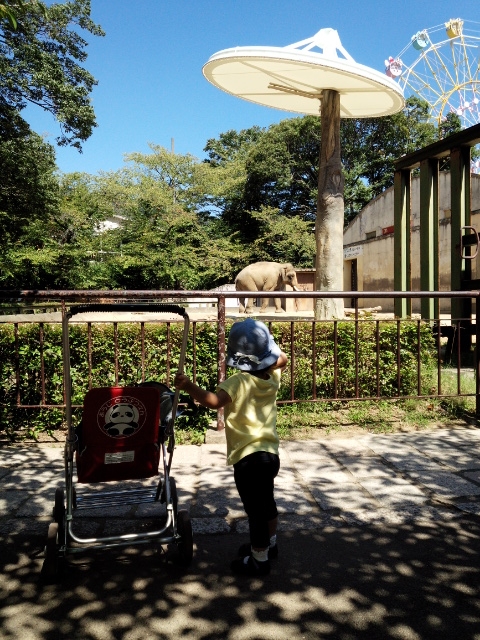 ☆王子動物園へ行ってきました！