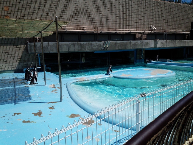 ☆王子動物園へ行ってきました！