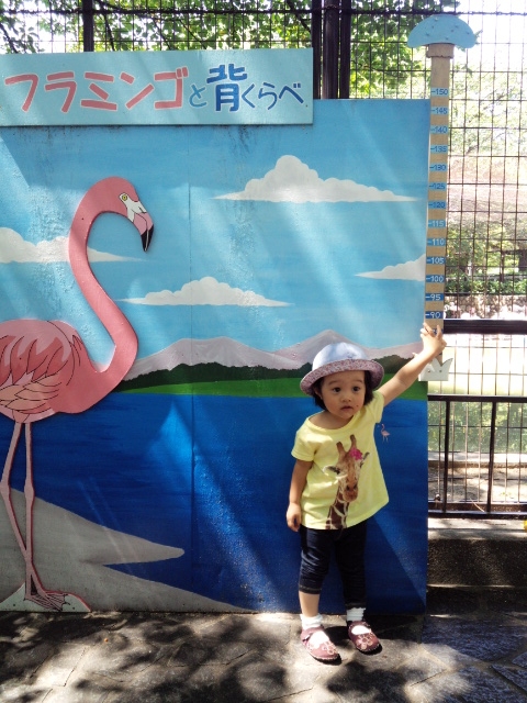 ☆王子動物園へ行ってきました！