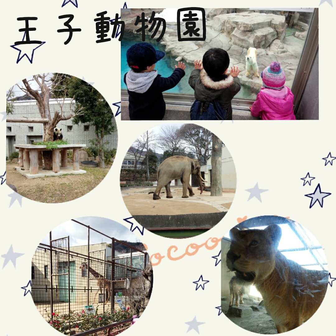 ☆ＺＯＯ☆