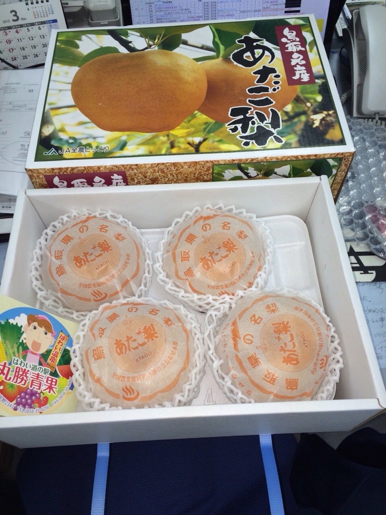 初めて見る大きさ！！！
