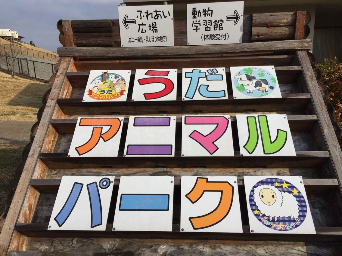 春のお出かけスポット　奈良