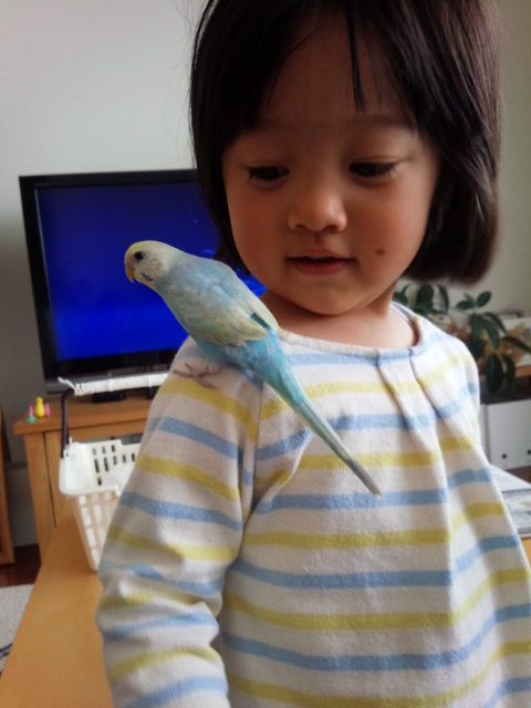 七色のなっちゃん★☆
