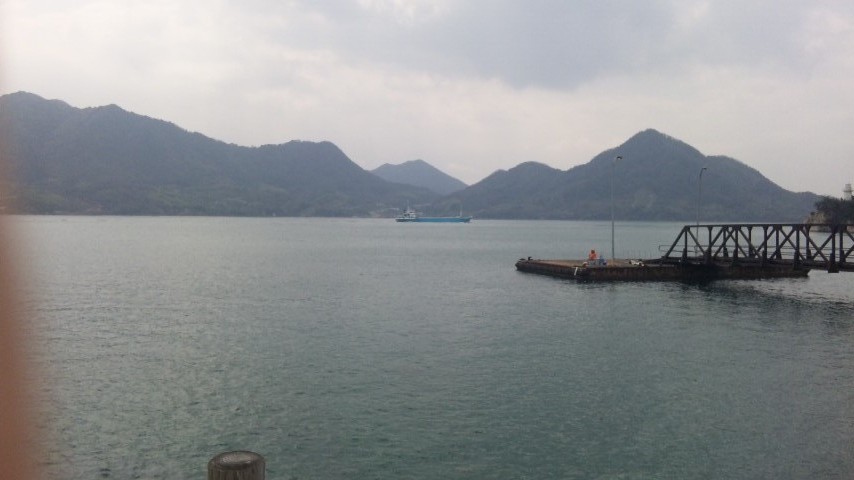 うさぎの島。