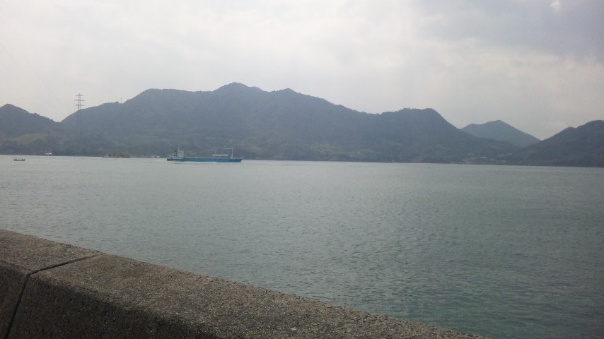 うさぎの島。
