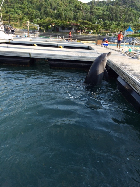 沖縄行ってきました２