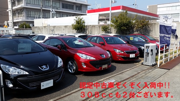 認定中古車入荷中