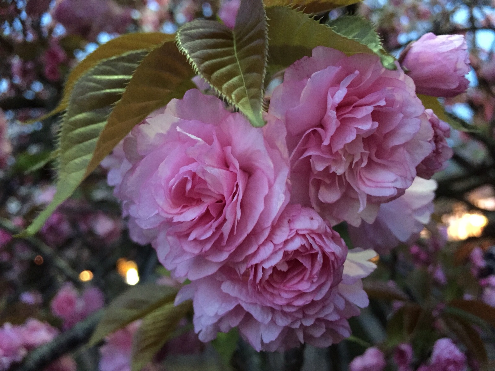 造幣局