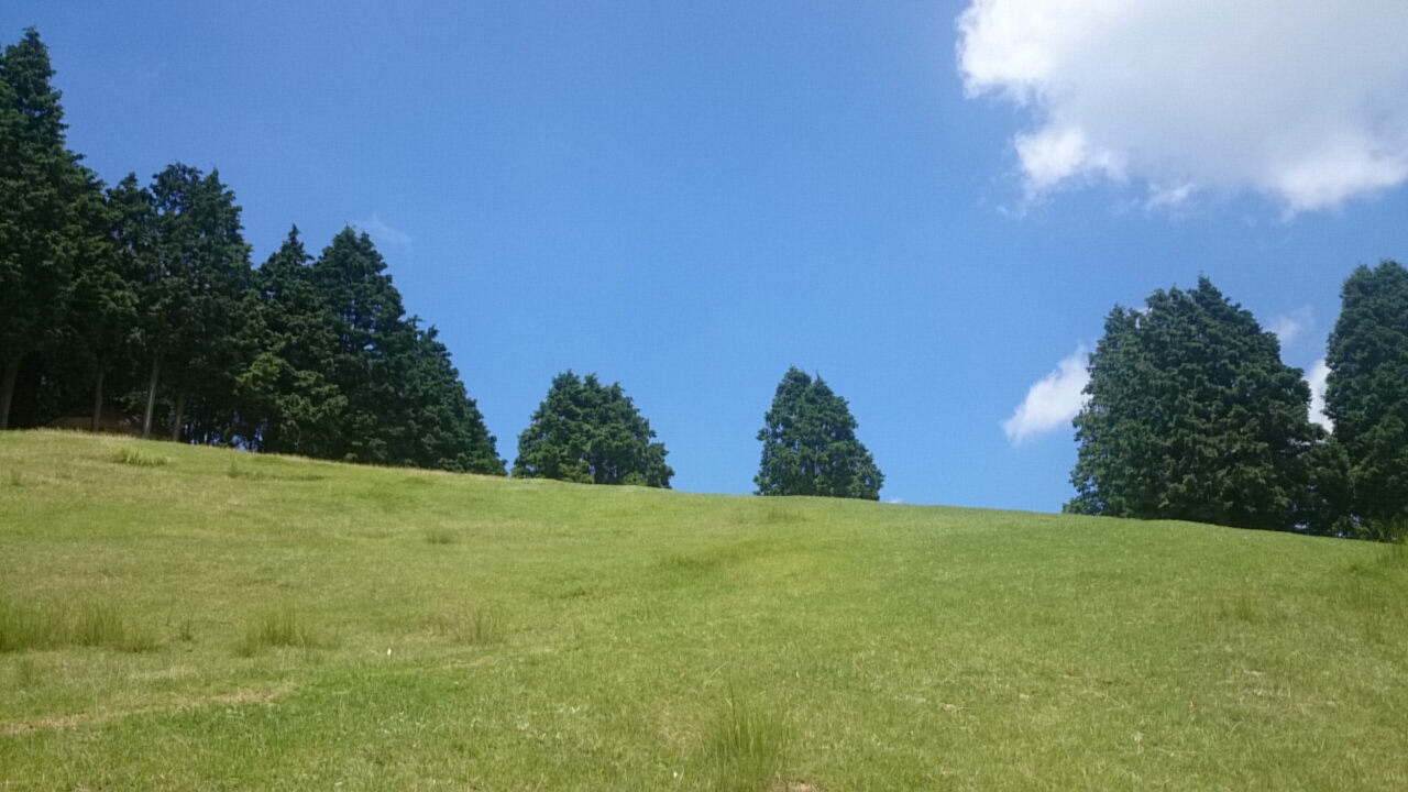六甲山牧場。