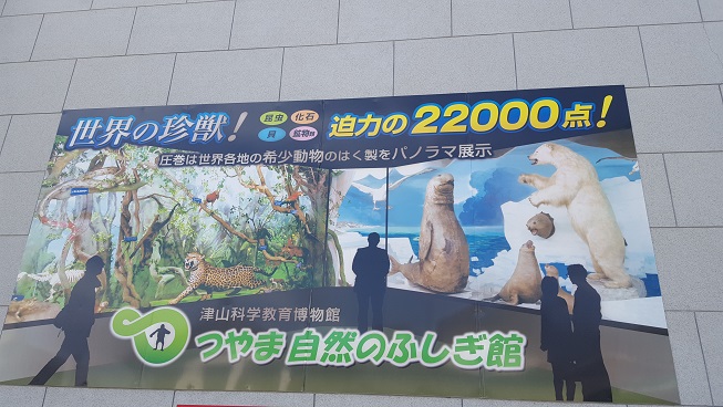 津山市へ行って来ました
