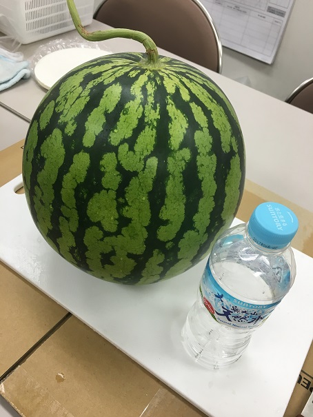 スイカ☆