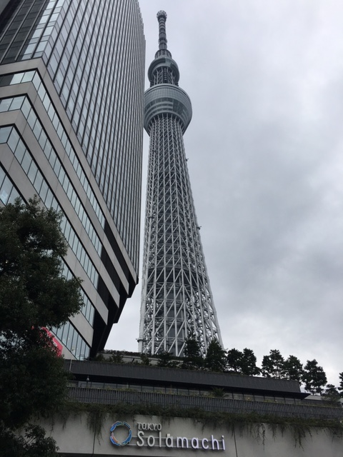 千葉へ帰省してきました