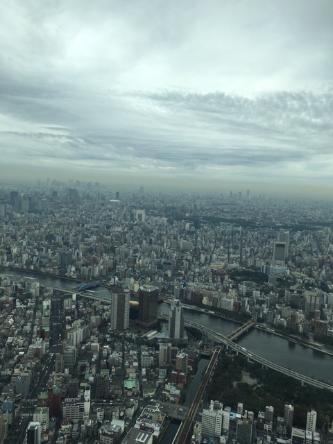 千葉へ帰省してきました